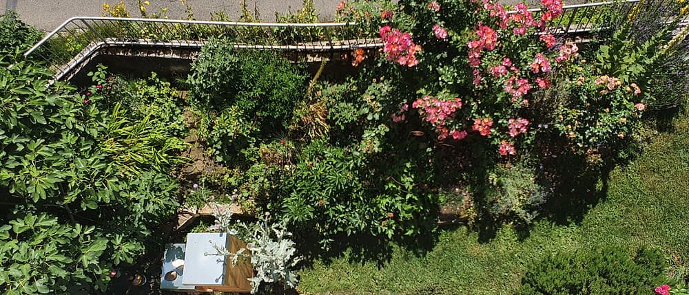 Blick von oben auf den Garten mit Rosen, Sträuchern und Wiese, dazwischen der Beutenstand.